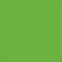 Fényez zöld citrom öntapadós tapéta