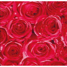 Vörös rózsa mintás öntapadós tapéta dekoráláshoz