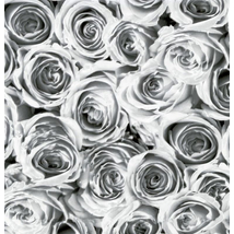 Fehér szürke rózsa mintás öntapadós tapéta dekoráláshoz