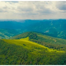 VENILIA FELDBERG SZTATIKUS PANORÁMA ÜVEGFÓLIA