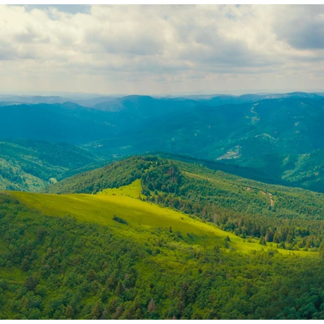 VENILIA FELDBERG SZTATIKUS PANORÁMA ÜVEGFÓLIA